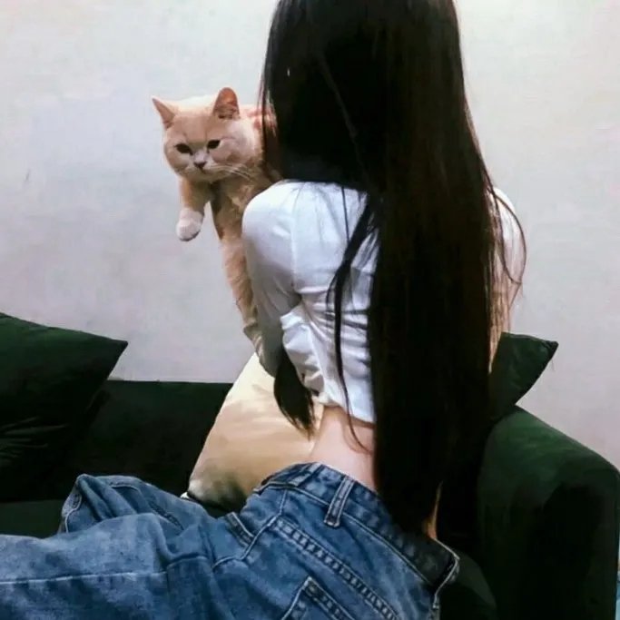 出柙猛虎